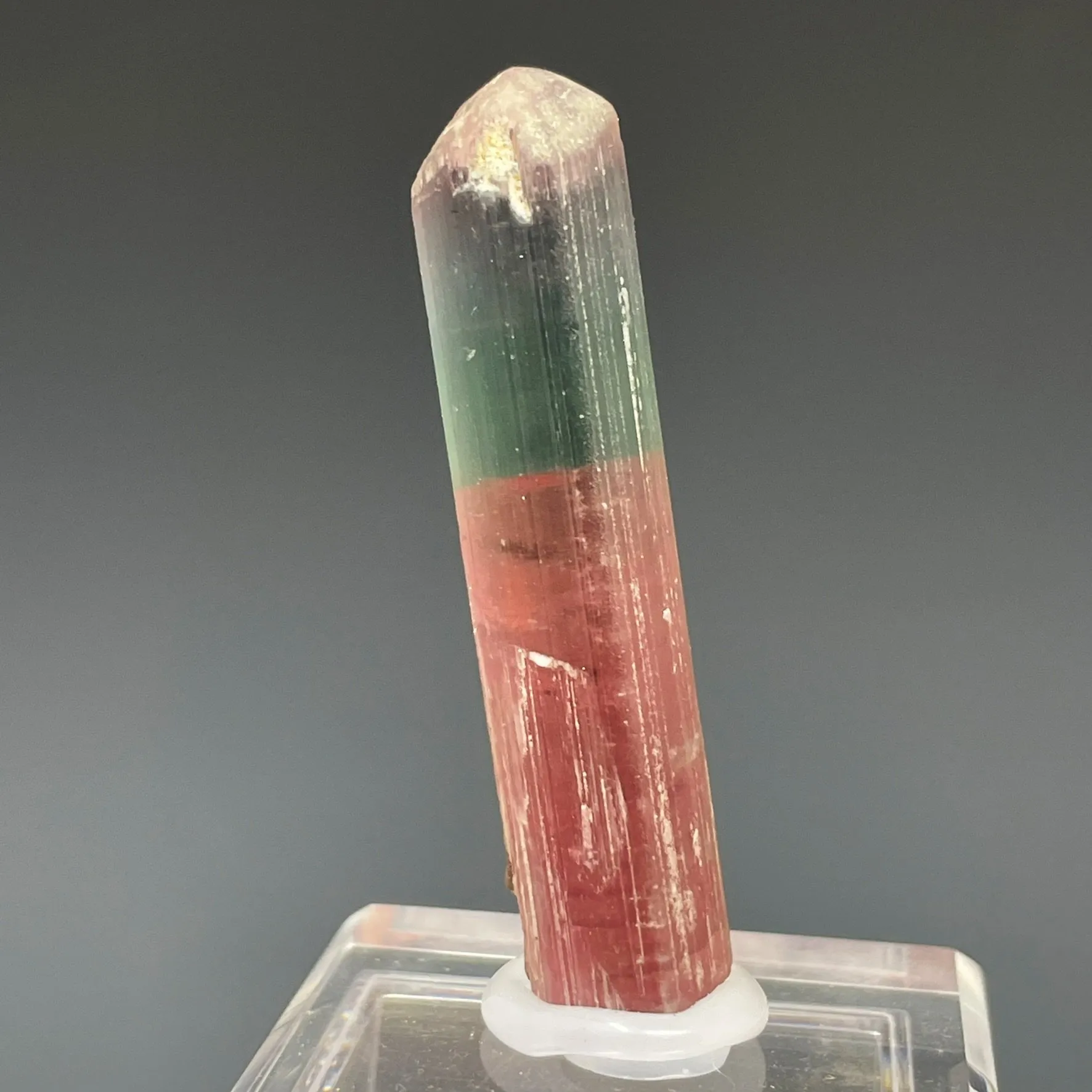 Bicolor Blue and Pink - image 2