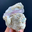 specimen video
