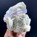 Bicolor Blue-Pink Tourmaline Crystals on Albite from Afghanistan - image 3