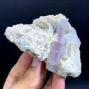 Bicolor Blue-Pink Tourmaline Crystals on Albite from Afghanistan - image 6