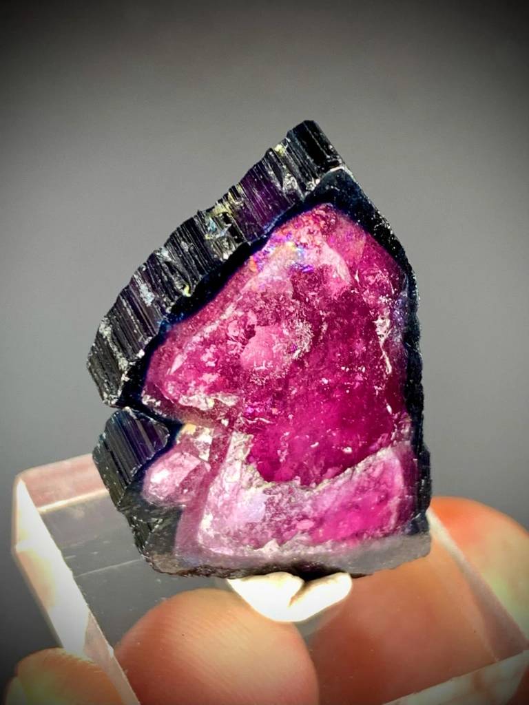 Bicolor Blue & Pink Tourmaline Slice, Bicolor Gem from Afghanistan - image 2