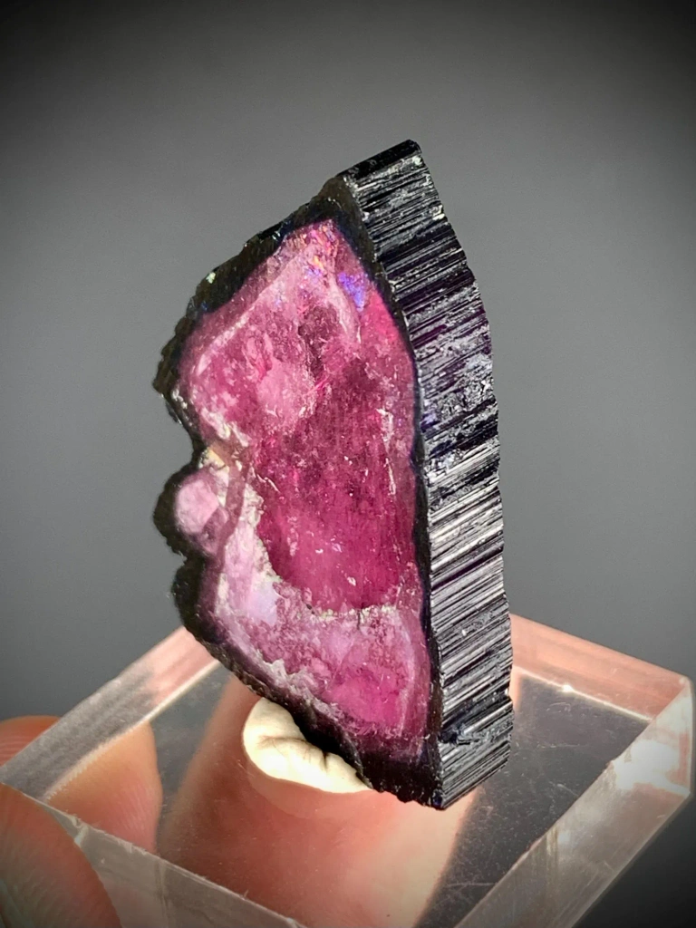 Bicolor Blue & Pink Tourmaline Slice, Bicolor Gem from Afghanistan - image 4