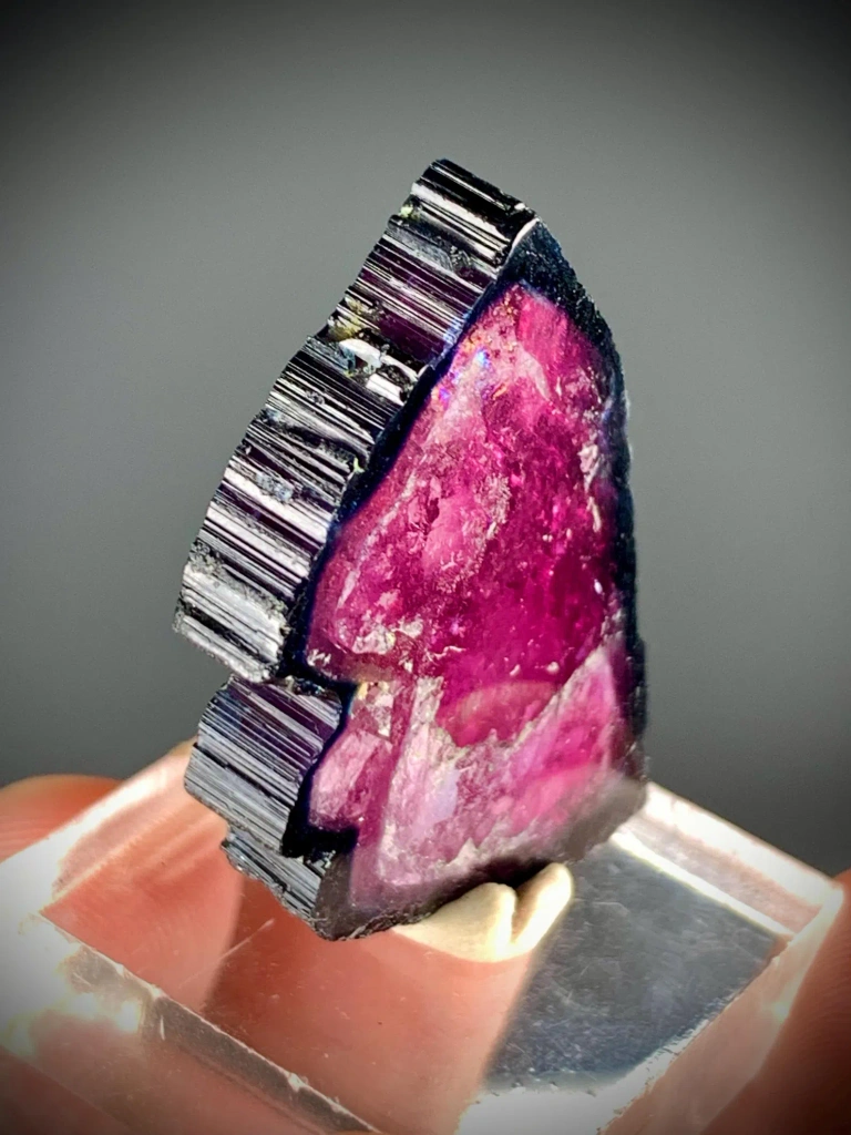 Bicolor Blue & Pink Tourmaline Slice, Bicolor Gem from Afghanistan - image 7
