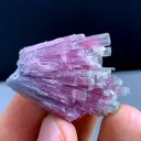 Bicolor Cotton Tourmaline Crystals Bunch, Tourmaline Mineral from Afghanistan - image 3