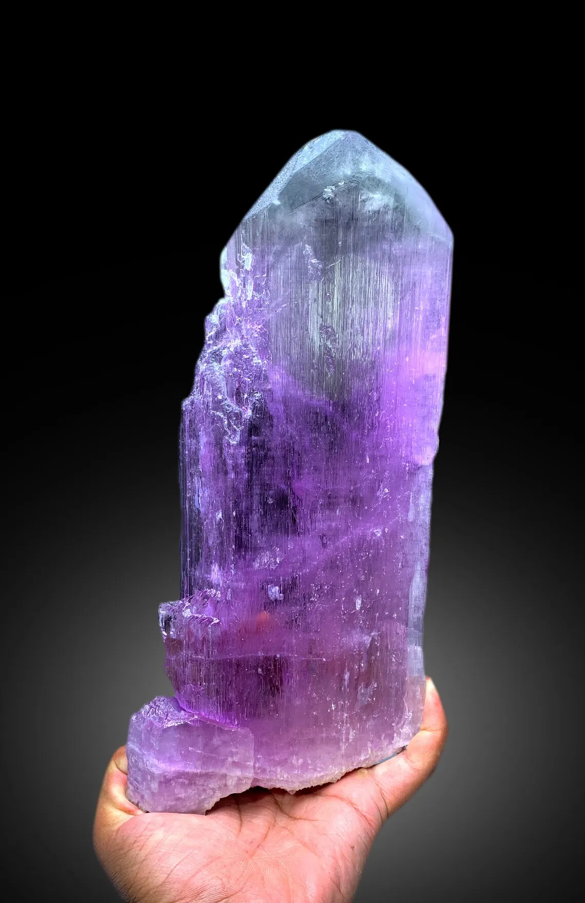 Bicolor Kunzite Crystal from Afghanistan, 1905 gram - image 8
