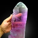 Bicolor Kunzite Crystal from Afghanistan, 1905 gram - image 3