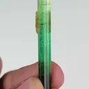 specimen video
