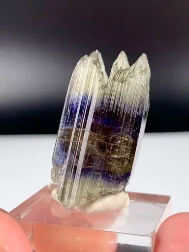 specimen video