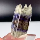 specimen video