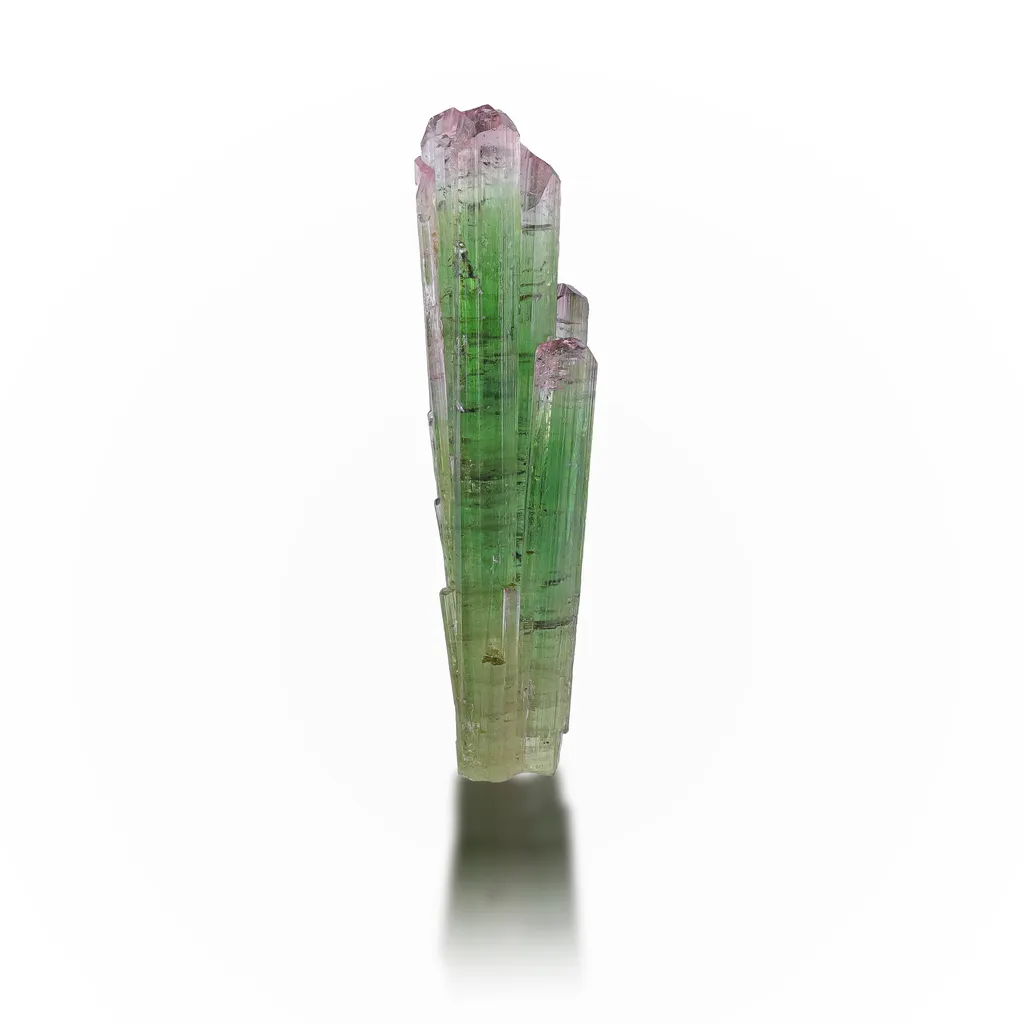 Bicolor Tourmaline image