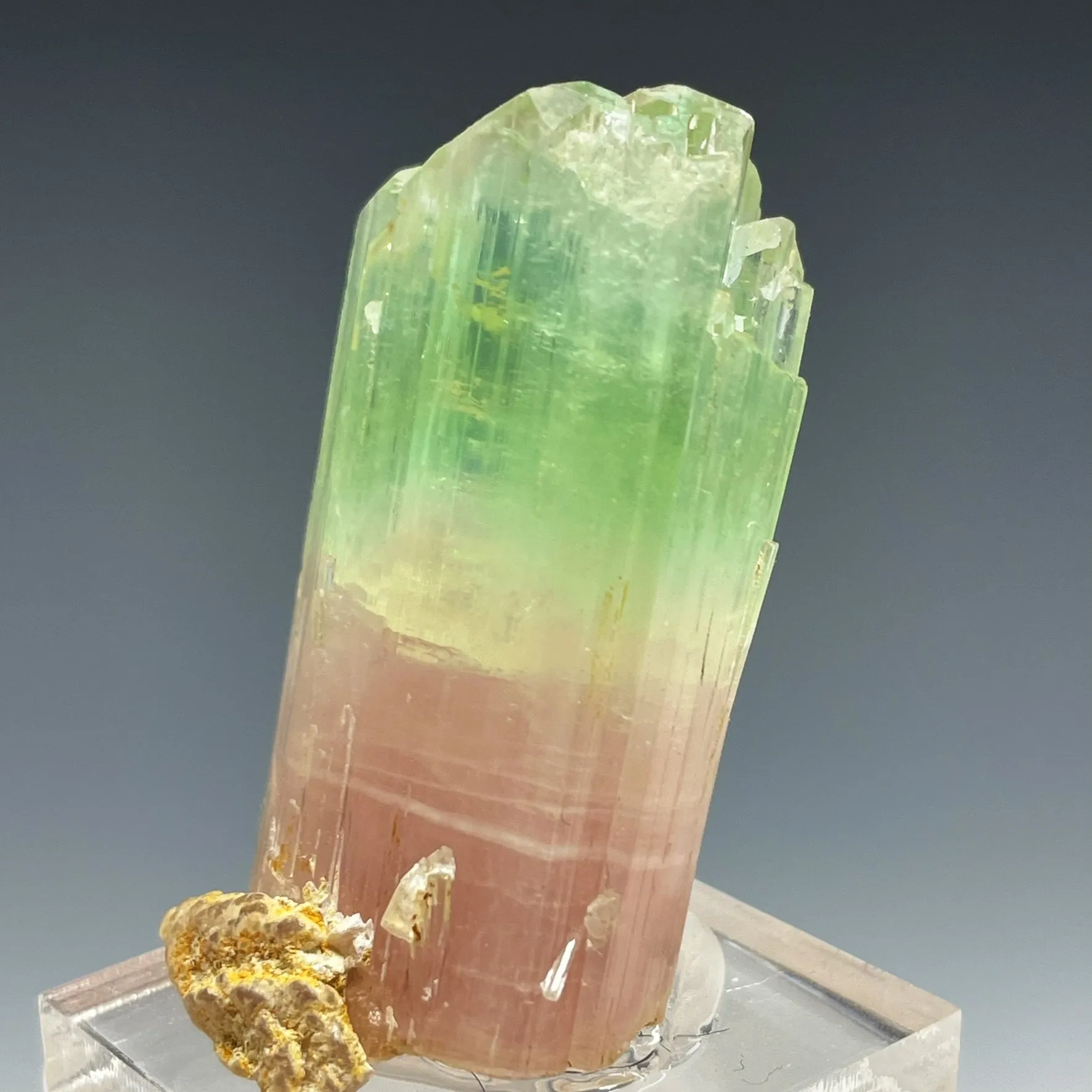 Bicolor Tourmaline - image 2