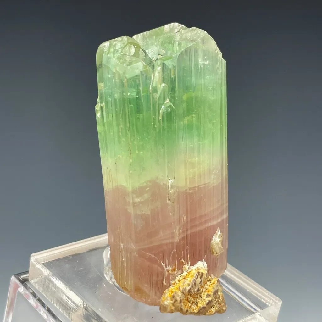 Bicolor Tourmaline image
