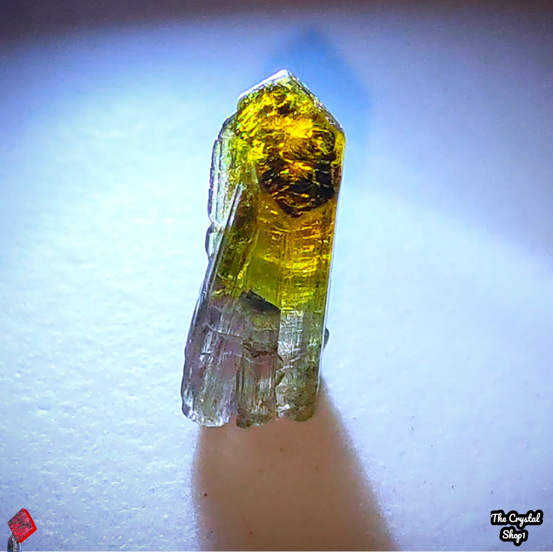 Bicolor Tourmaline Beryl - image 1