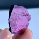 Bicolor Tourmaline Slice from Afghanistan - image 6
