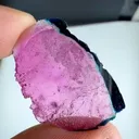 specimen video