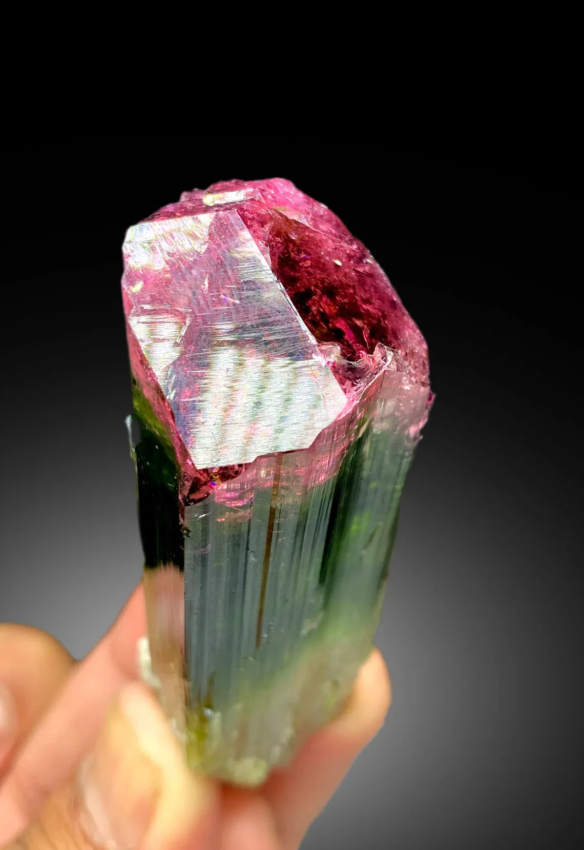 Bicolor Tourmaline – Terminated Pink & Green Crystal, Paprok Afghanistan, 105g, Excellent Clarity - image 6