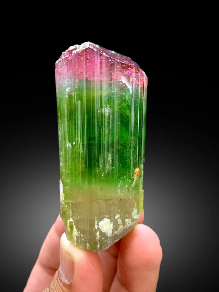 Bicolor Tourmaline – Terminated Pink & Green Crystal, Paprok Afghanistan, 105g, Excellent Clarity image