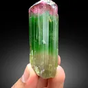 Bicolor Tourmaline – Terminated Pink & Green Crystal, Paprok Afghanistan, 105g, Excellent Clarity - image 9