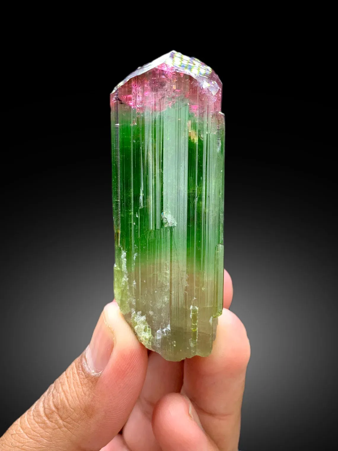 Bicolor Tourmaline – Terminated Pink & Green Crystal, Paprok Afghanistan, 105g, Excellent Clarity - image 9