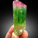 Bicolor Tourmaline – Terminated Pink & Green Crystal, Paprok Afghanistan, 105g, Excellent Clarity - image 3