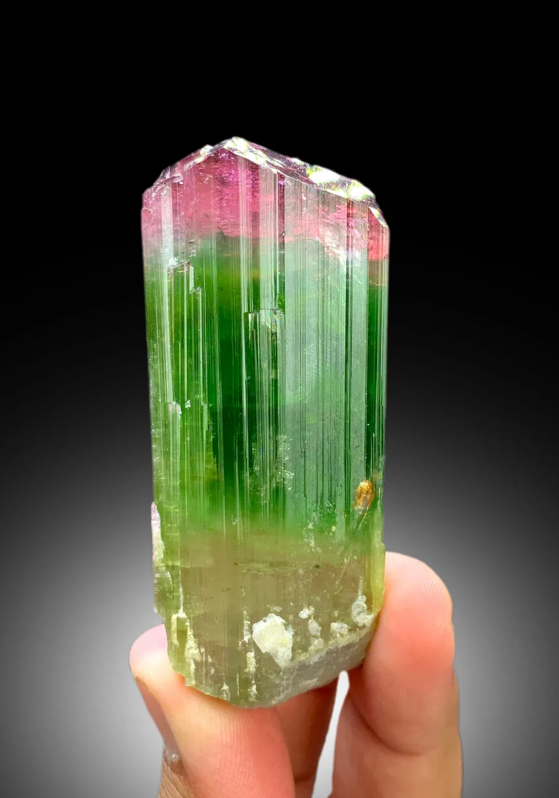 Bicolor Tourmaline – Terminated Pink & Green Crystal, Paprok Afghanistan, 105g, Excellent Clarity - image 5