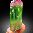 Bicolor Tourmaline – Terminated Pink & Green Crystal, Paprok Afghanistan, 105g, Excellent Clarity - image 8