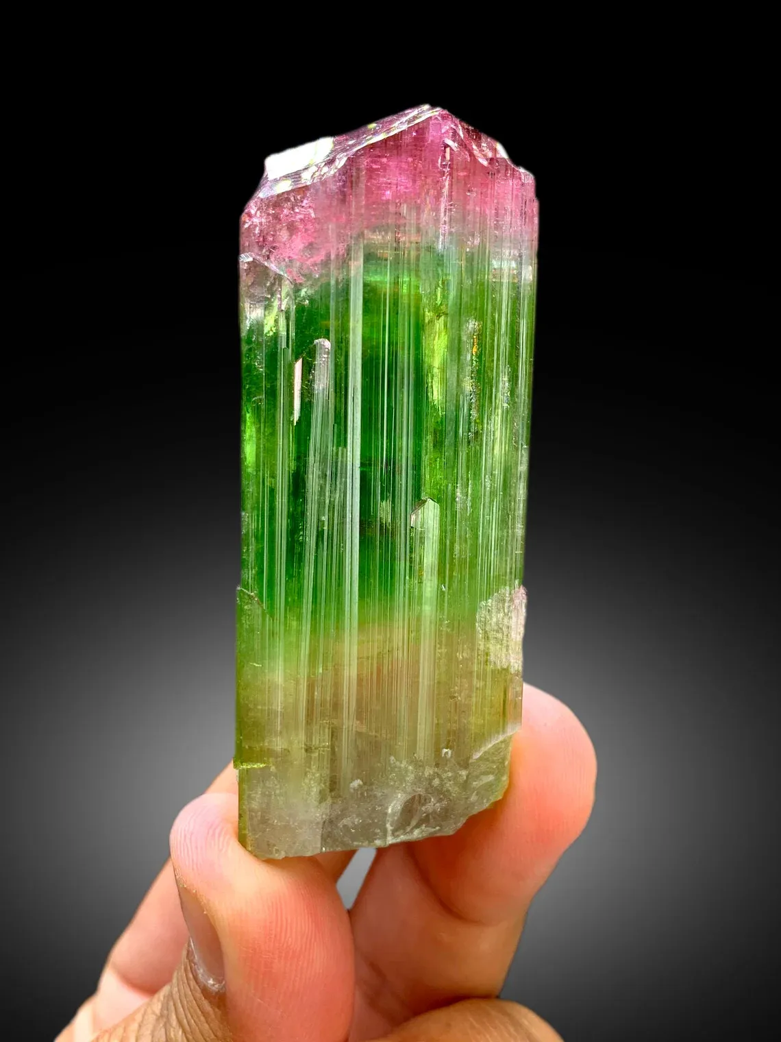 Bicolor Tourmaline – Terminated Pink & Green Crystal, Paprok Afghanistan, 105g, Excellent Clarity - image 8