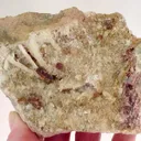 Bikitaite, Apatite - image 1