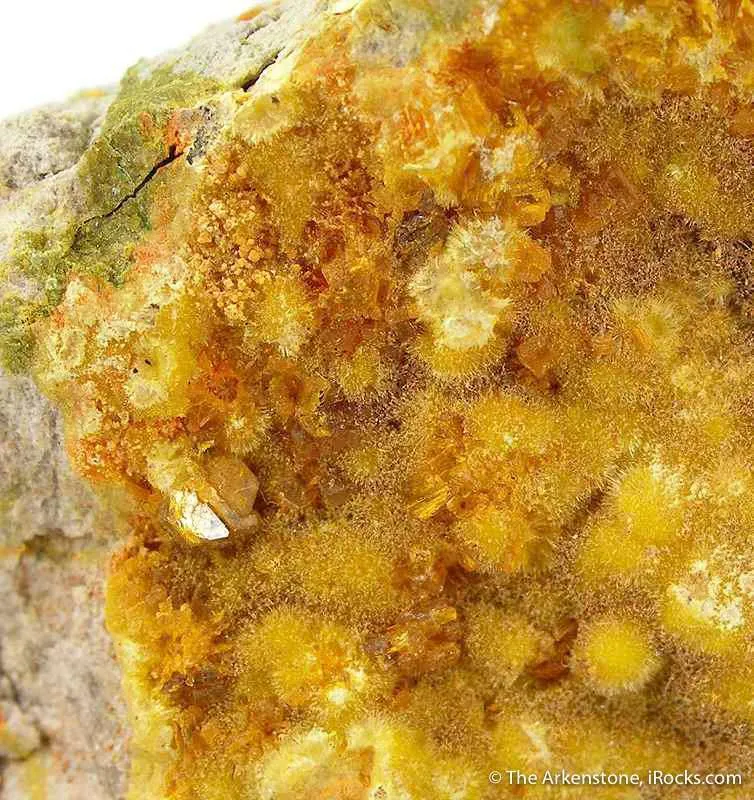 Billietite on Uranophane - image 1