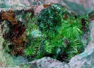 Billietite With Cuprosklodowskite and Malachite image