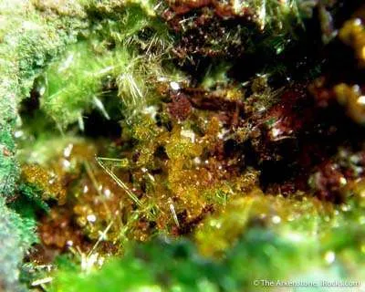 Billietite With Cuprosklodowskite and Malachite - image 2