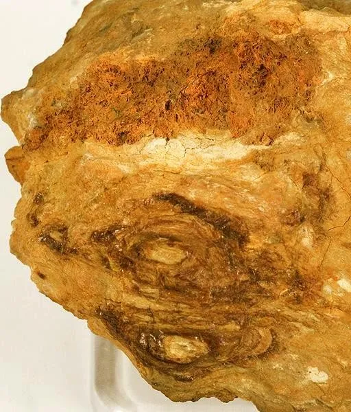Bindheimite - image 2