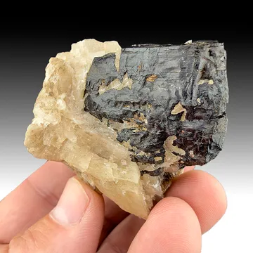 Biotite