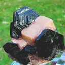 specimen video