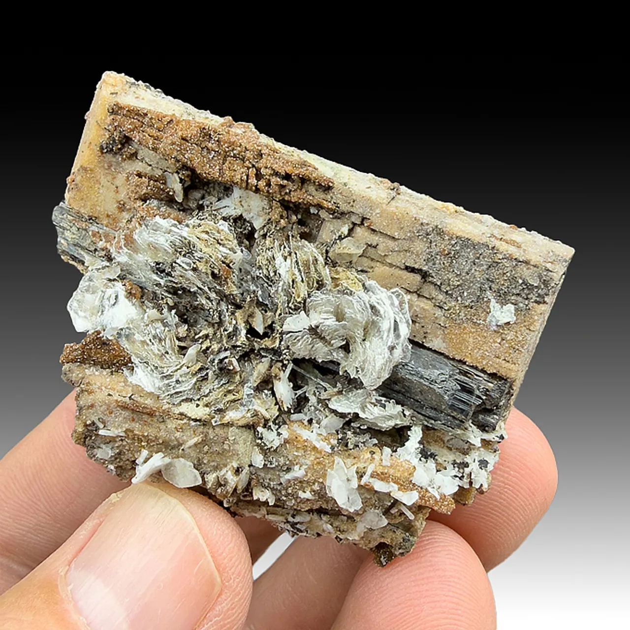 Birnessite after Serandite with Rhodochrosite, Aegirine, Polylithionite - image 1