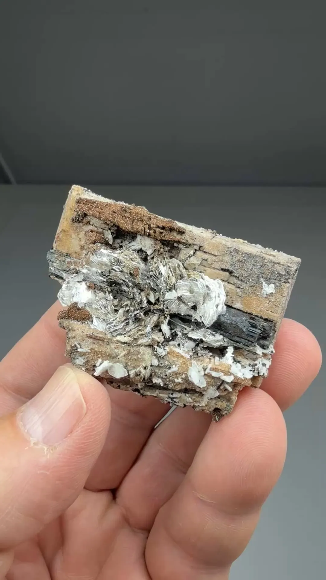 Birnessite after Serandite with Rhodochrosite, Aegirine, Polylithionite - image 2