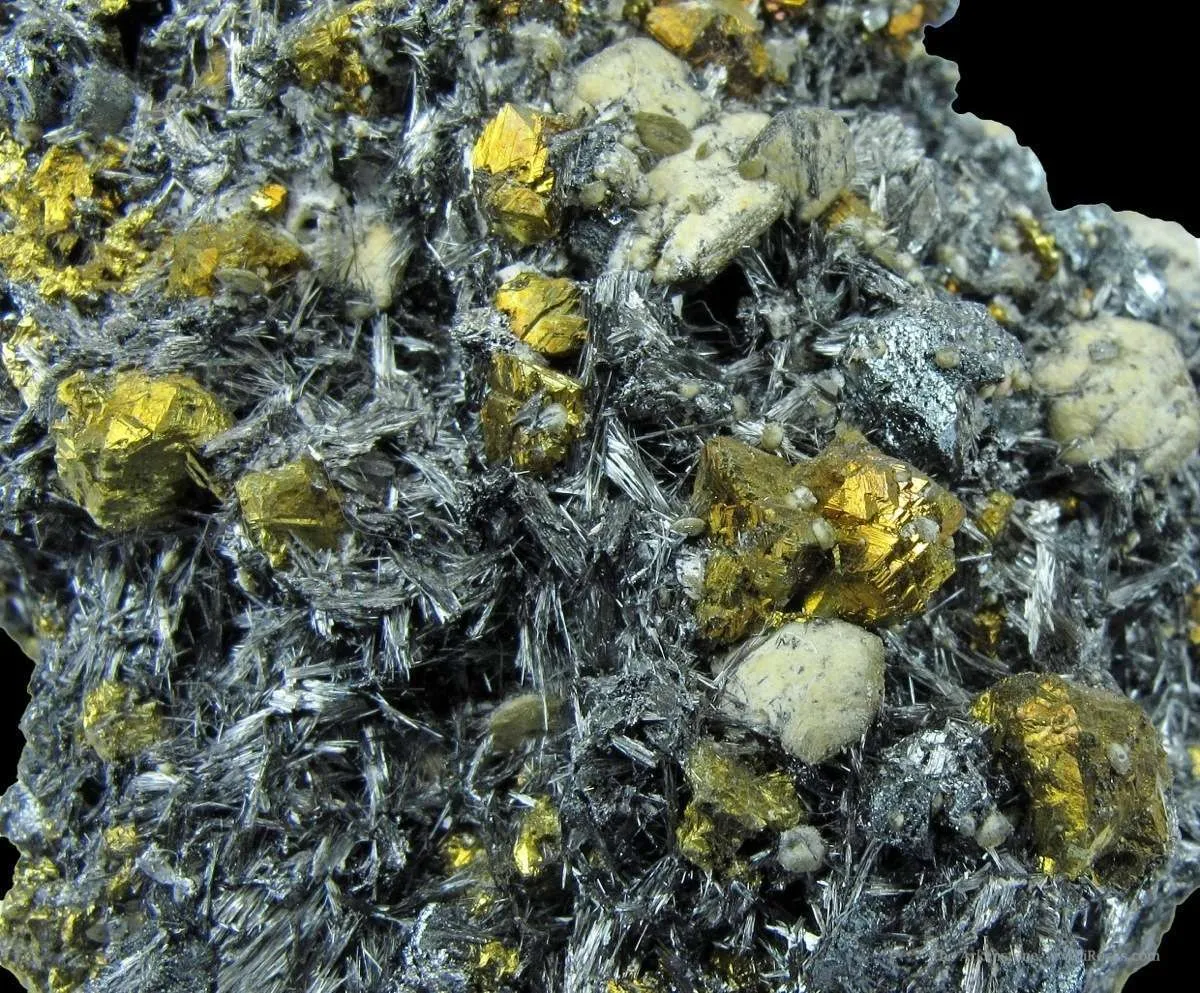 Bismuth Sulfosalts With Chalcopyrite, Tetrahedrite, and Siderite on Pyrite - image 5