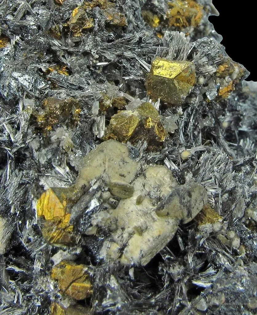 Bismuth Sulfosalts With Chalcopyrite, Tetrahedrite, and Siderite on Pyrite - image 4