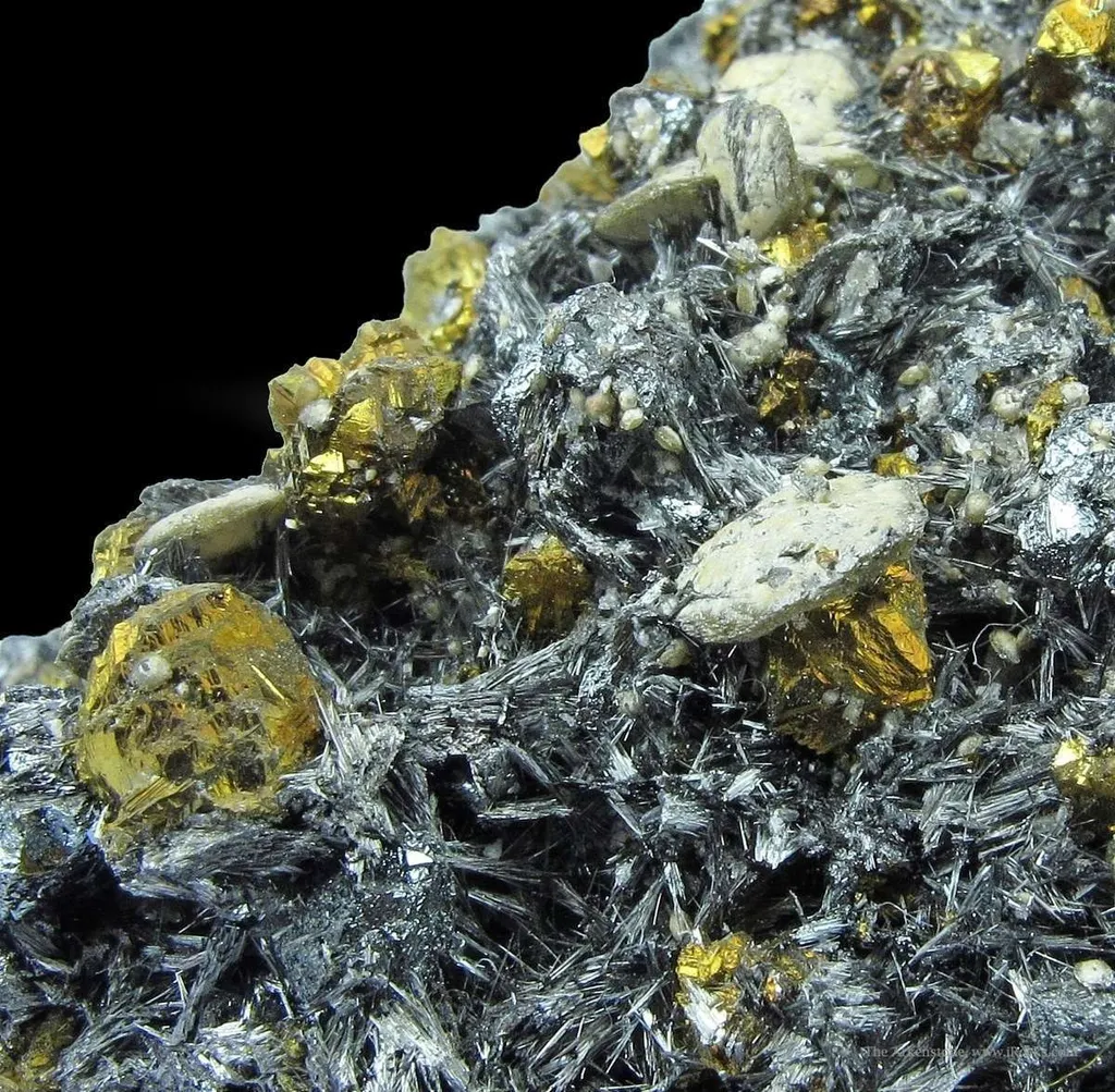Bismuth Sulfosalts With Chalcopyrite, Tetrahedrite, and Siderite on Pyrite image