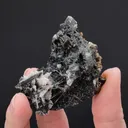 Bismuthinite with Cassiterite and Chalcopyrite - image 2