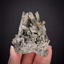 Bismuthinite with Marcasite - image 2