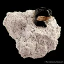 Bixbyite and Topaz - image 4