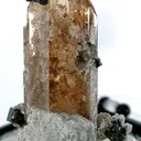 Bixbyite on Topaz - image 2