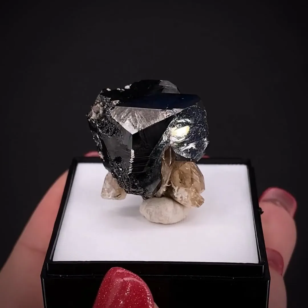 Bixbyite on Topaz - image 2