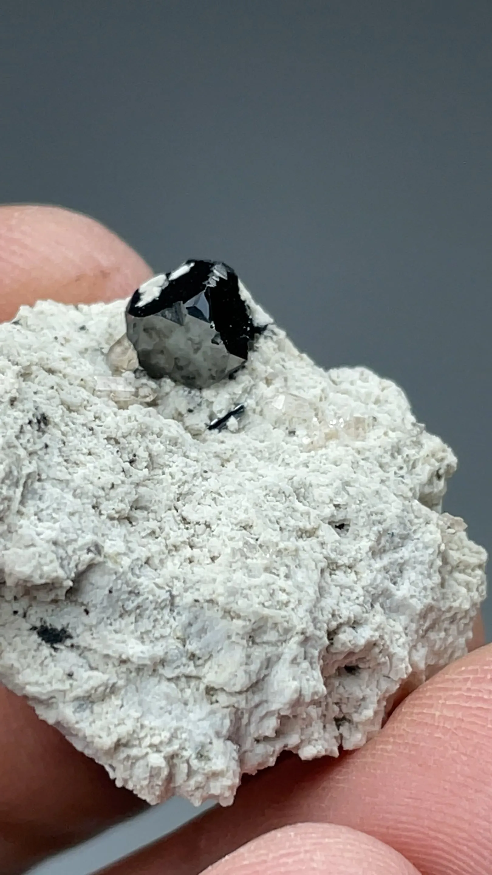 Bixbyite with Topaz - image 2