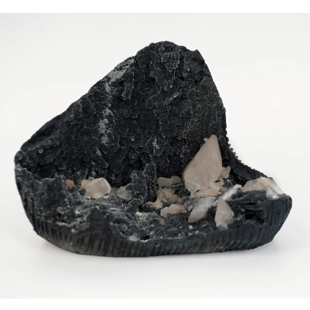 Black Chalcedony Vug With Pink Heulandite Petals Natural Mineral Specimen image