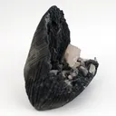 Black Chalcedony Vug With Pink Heulandite Petals Natural Mineral Specimen - image 6