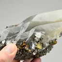 Black Dragonscale Calcite with Iridescent Chalcopyrite, Sweetwater Mine - image 2