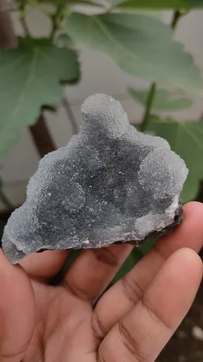specimen video