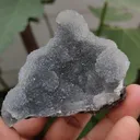specimen video